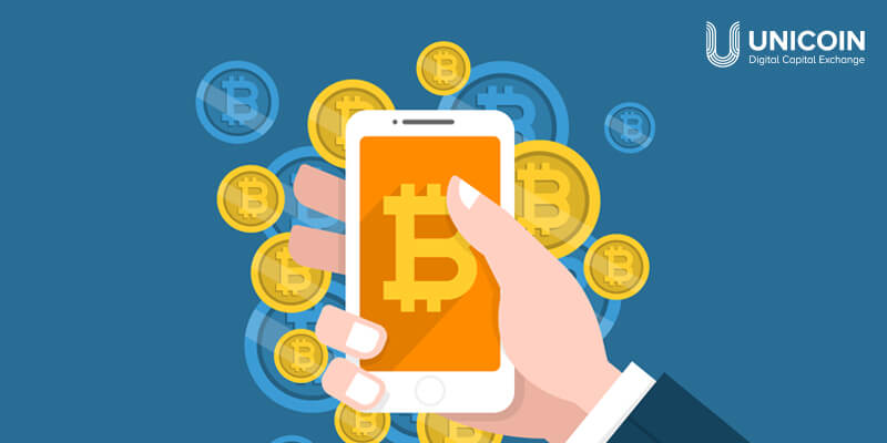 What is a Bitcoin Wallet